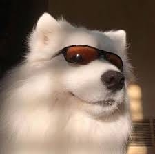 Lê Thùy Lâm avatar